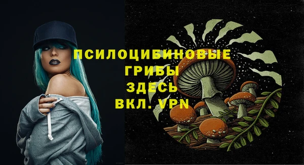 альфа пвп Белокуриха