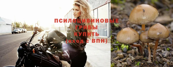 spice Бугульма
