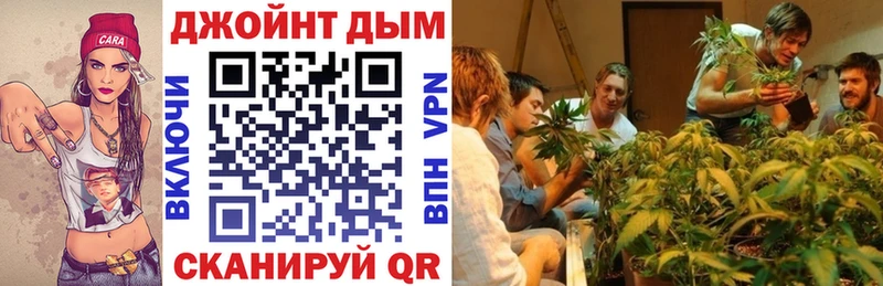 купить наркотики сайты  Каргополь  Бошки марихуана LSD WEED 